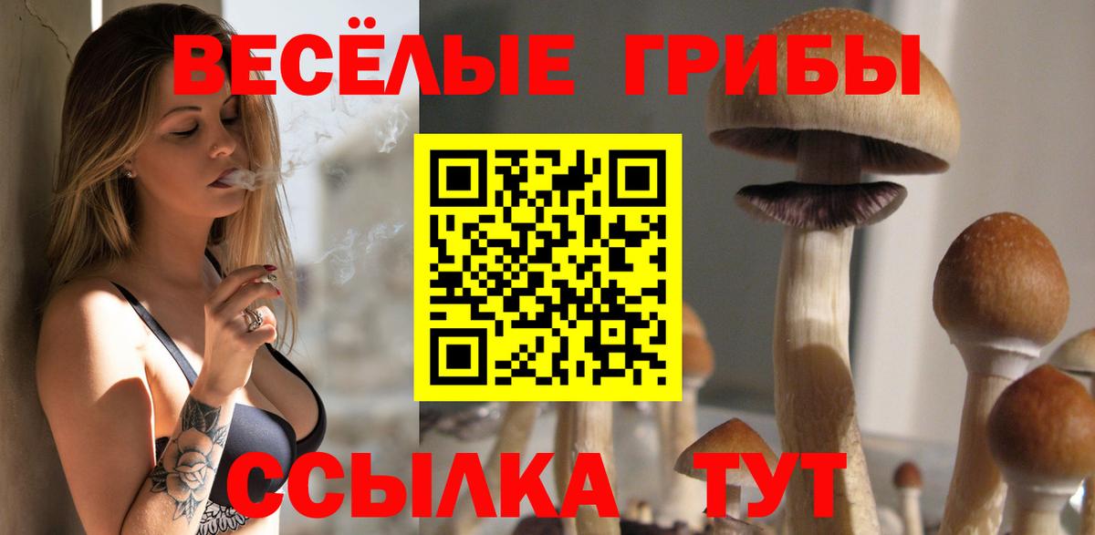 Псилоцибиновые грибы Psilocybe Копейск