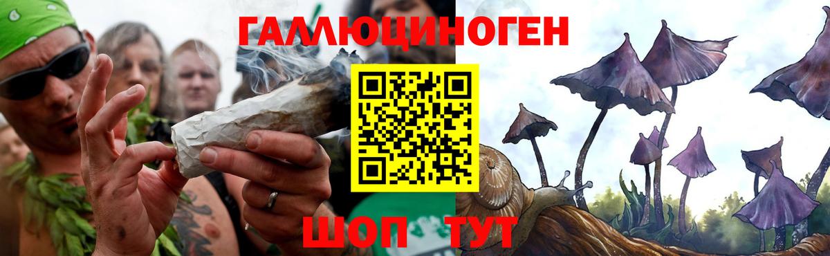 Псилоцибиновые грибы Psilocybe  Вход с VPN  Копейск 